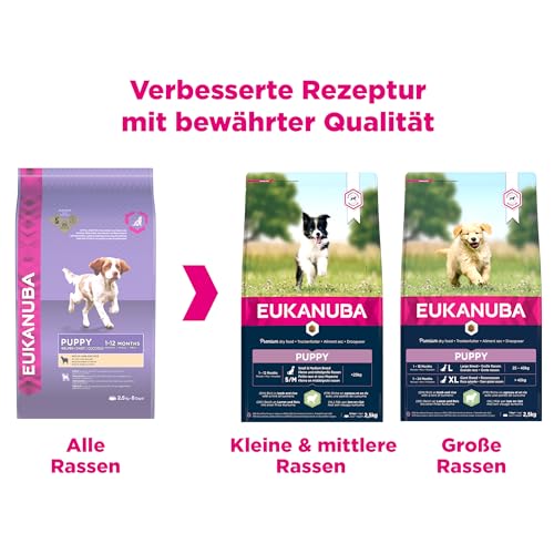 Eukanuba Welpenfutter mit Lamm & Reis für große Rassen - Trockenfutter für Junior Hunde, 2,5 kg