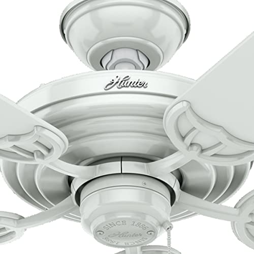 Hunter Sea Air Indoor / Outdoor Ceiling Fan With Pull Chain Control, 52", White #TOP7