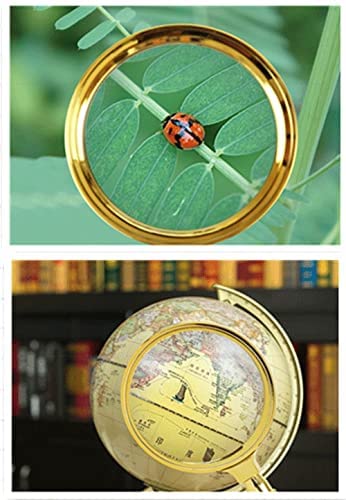 Loupe s Loupe, 10X Métal Gravure Fleur Lentille Optique Portative Loupe De Lecture Amovible Keep it in Mind
