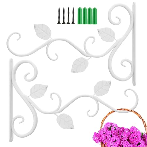 Taasmoog Wandhalterung für Blumenampel, 2 Stück Pflanzenhalterung Robuster Aufhänger Hängekorbhalterung für den Außenbereich Antik-Stil Metall Wandhalter zum Aufhängen Pflanzer (Weiß)