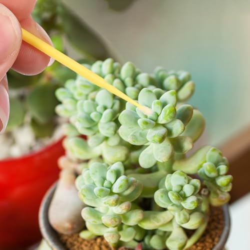 Herramienta manual para polinización de cultivos Toyvian miniatura 7