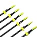 Ruixunte 32" Archery Bow Fishing Hunting Arrow with Broadheads Safety Slides（Pack of 6）