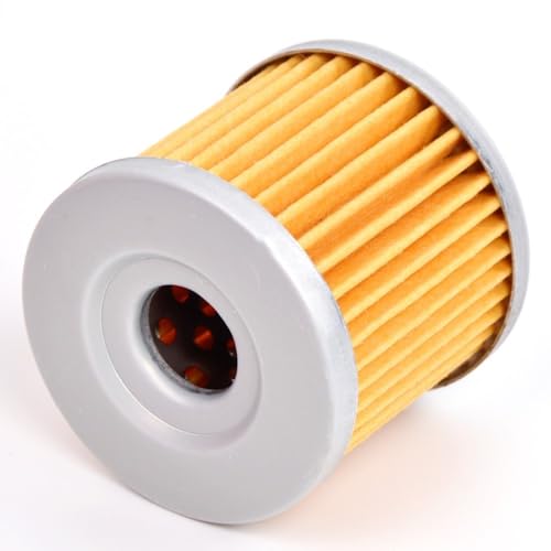 Filtre à huile pour moto à haute capacité de rétention pour GT 250 R GF125