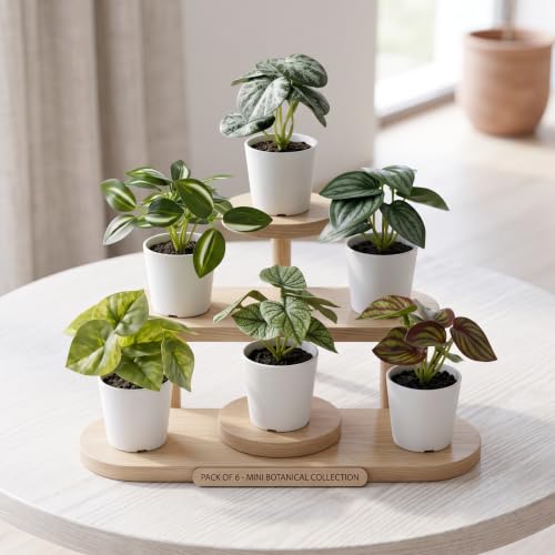 Image of Dekorly Pack of 6 Mini Artificial Potted Plants, Small Indoor Potted Houseplants, Small Faux Plants for Home Decor Bathroom Office Farmhouse (Mini Botanical Collection)