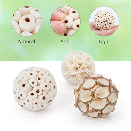 Andwe Bird Toy Sola Balls - Natural Soft Chew Shredding & Foraging Toy For Cockatiel Conure Quaker Parrot Budgie Parakeet Rabbit Bunny Guinea Pig Chinchilla (Style 2 (Pack Of 6)) #TOP2