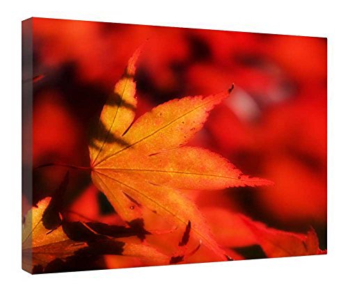 Décoration murale feuille rouge profond et cadre en bois pour chambre élégante
