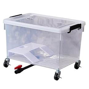 爬虫類・両生類用ケース・水槽 - Amazon.co.jp