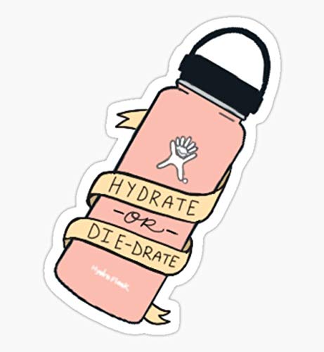 Hydrate or Die-Drate Hydroflask Sticker - Sticker Graphic - Waterbottles, Hydroflask, Laptops, Notebooks, Cell Phones, Bumpers, Windows, Locker Sticker