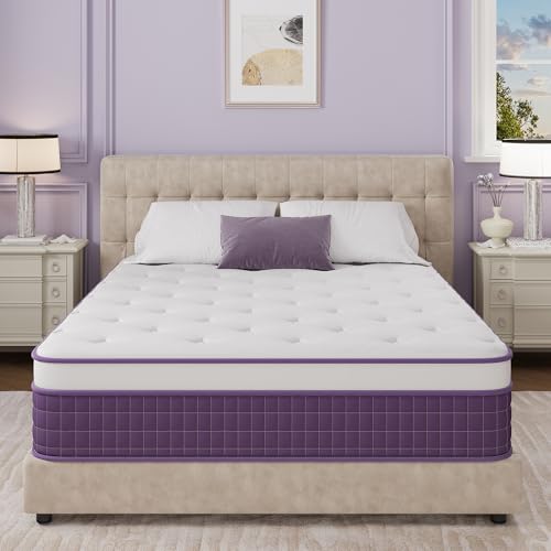 Sailvan Queen Mattress 12 inch,Purple Queen Size Mattress in a Box,Cooling Gel Infused Memory Foam and Pocket Spring,Medium Firm,Pressure Relief,CertiPUR-US (Queen (U.S. Standard))