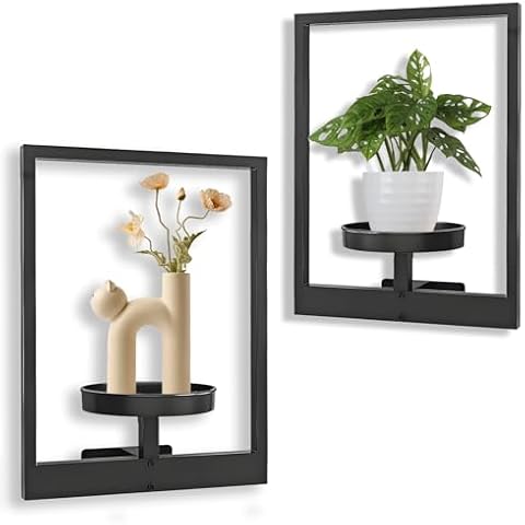Metal Plant Wall Frame, Picture Frame Wall Plant Holder, Window Plant Shelves, Plant Frames for Wall, Metal Modern Style for Home Decor Display Stand for Living Room Balcony Garden Patio 2PC Cover