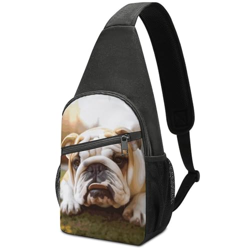 Morrales de senderismo casual con mascota perro bulldog miniatura 1