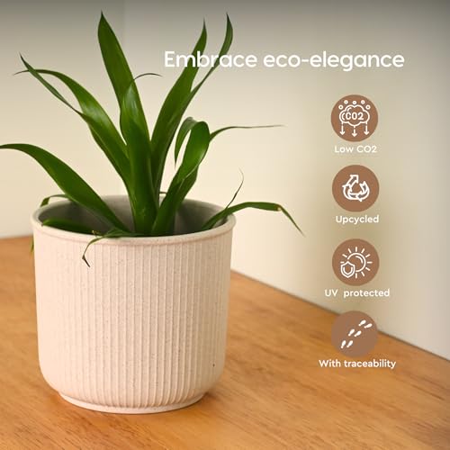 Image of Eha Earth Friendly Statement Pot 4 Inch Pots and Planters Set of 6 |Table Top Planters| Bamboo Based, UV Protected | Planter for Indoor & Balcony Window Flower Pots | Multicolor
