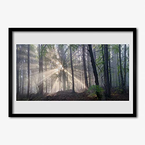 Affiche encadrée nature pour salon et chambre avec cadre photo bois MDF 70x50cm