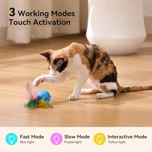 Save 50% on ZOMISIA Interactive Cat Toy Ball with code 8V6VLC7O - Image 4