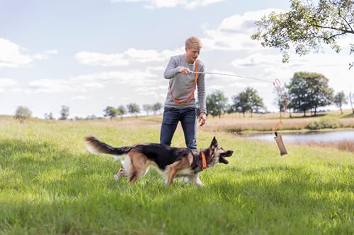 TRIXIE Reizangel - robustes Hundespielzeug zum Kauen & Jagen - 110 cm Länge, spannendes Kauspielzeug für Hunde - 32145