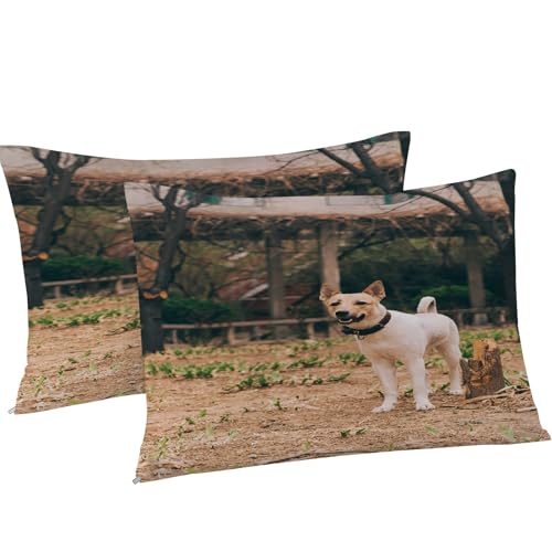 Linge de lit imprimé Jack Russell pour chambre de passionné d'animaux - 5