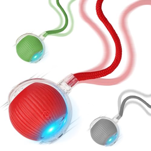 Goosheep 2025 V 3pbN L {[ qL  p C^NeBu LeB {[  Xs[fBe[ 360° (bh O[ O[)