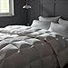 BedTreat Luxury Goose Down Comforter Queen Size,Premium Hotel collecton Duvet Insert for All Seasons with Ultra-Soft 100% Organic Cotton Cover and 8 Tabs,Fluffy and Medium Warmth(90