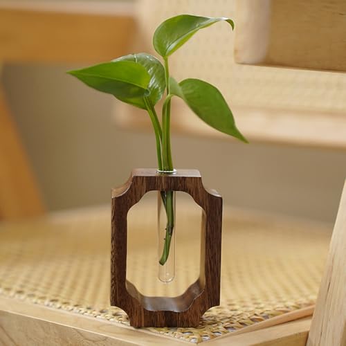 Vase hydroponique en verre avec support bois pour salon - 4
