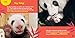 Go Wild! Pandas