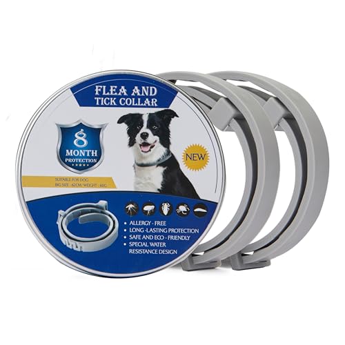 Hyindoor Collar Antiparasitario para Perros 2pcs Collar contra Pulgas Garrapatas y Mosquitos con 8 Meses de Protección Collar Antipulgas Ajustable e Impermeable de Aceite Esencial Natural (62cm)