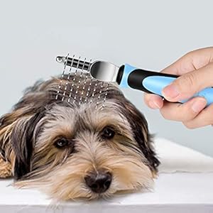 Flexzion Dogs Dematting Comb, Stainless Steel Blades Rakes, for Pets Cats Animals Matted Knotted Hair, Brush Cutting Removing Grooming Tool with Smooth Teeth Needle – Black & Blue Handle