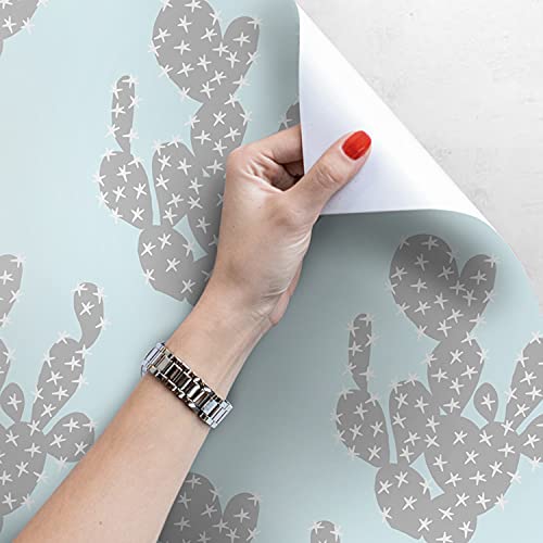 Papier peint cactus pastel : transformez votre salon et chambre cocooning - 4