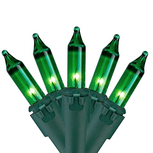 50-Count Green Mini Christmas Light Set - 10' - Green Wire