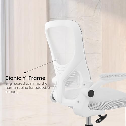 Image of Casa Copenhagen White White | Mid Back Imported Mesh Fabric Boss Office Chair | Y Design Ergonomic Back Support | 2D Aero Design Adjustable Armrests | Synchro Tilt Lock Mechanism | Adjustable Lumbar