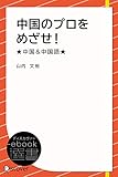 中国のプロをめざせ！★中国&中国語★ (ディスカヴァーebook選書)