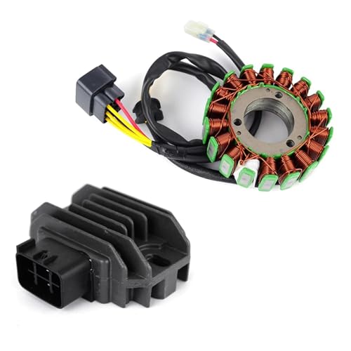 Stator d'allumage pour TM Racing En250 Mx300 résout les pannes de batterie 4T