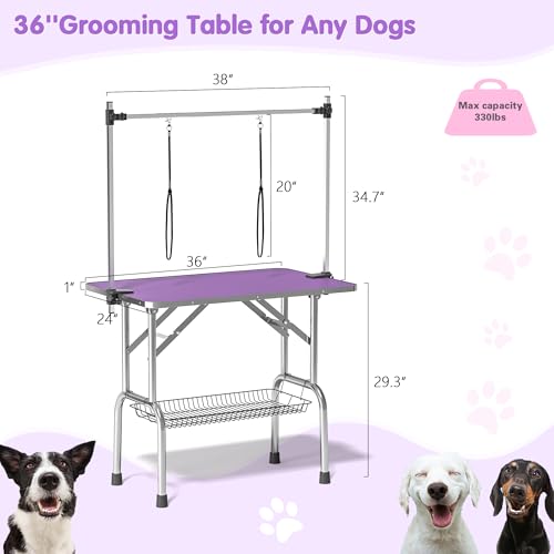 Image of Lyromix 36'' Stainless Steel Pet Dog Grooming Table, Arm /Noose /Tray, Purple