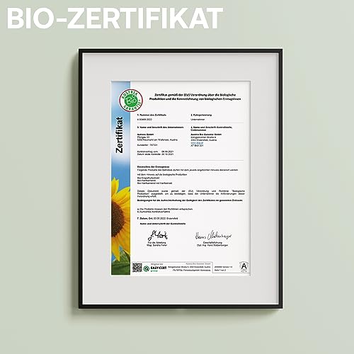Hanföl mit 25% CBD-Gehalt von Alpex-Med – Bio Vollspektrum
