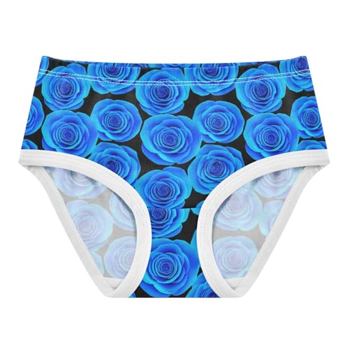 Joisal Toddler Underwear Floral 2t Cotton Panties Little Girl Stylish Briefs Kids Undies Blue Roses Flowers - Main Image