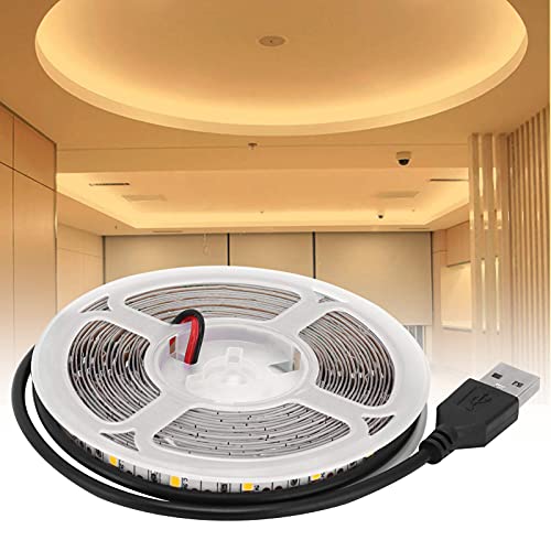 Tira de luces LED FTVOGUE 5 m luz blanca cálida miniatura 5