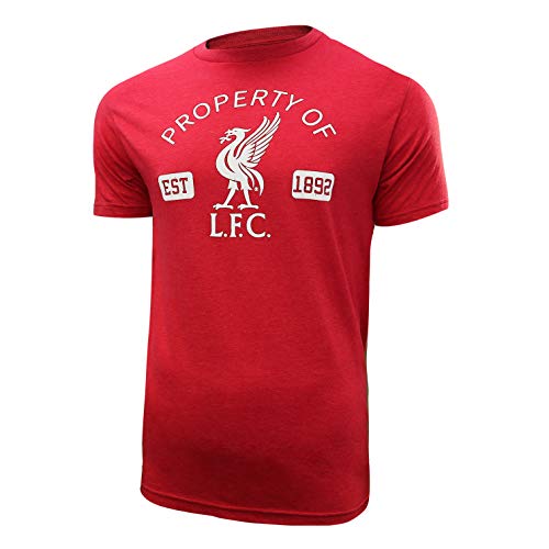 Icon Sports Offically Licensed Liverpool Mens Founders Short Sleeve T-Shirt, Heathered Red, X-Large