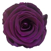 Rosebox Infinity Splendid - Roses Naturelles 3 Ans Velours Gris