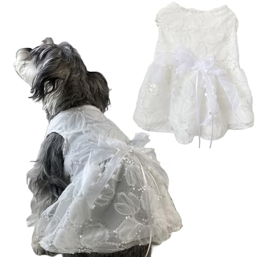 phX pvZXhX qp pXJ[g [X P hJ  ybg ̎q  a p[eB[ LpAp