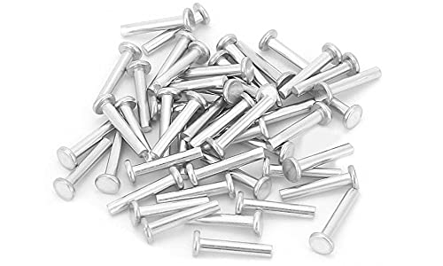 Kit di Assortimento di Rivetti a Testa Piatta M4