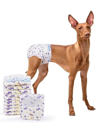 Image of MICOOYO Disposable Dog Diapers Female, Doggie Diapers for Dogs Female, Super Absorbent Pet Diaper with Foam Tail Hole for Heat, Comfortable Puppy Diaper (Large, 20Count)