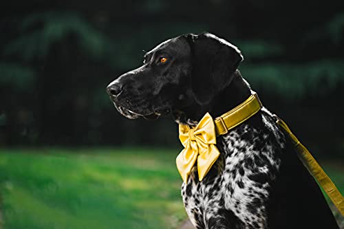 Unique Style Paws Silk Yellow Color Dog Collar with Bow, Large Dogs by Unique style paws - Used condition - Image 4