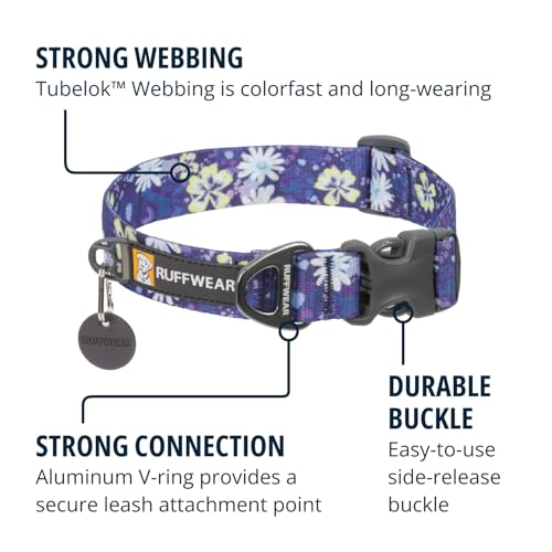 RUFFWEAR Front Range Mittelgroßes Hundehalsband, bequem und stark mit seitlicher Schnalle und Gurtband zum Gassigehen mit dem Hund, Größe M (36–51 cm), Wildblume