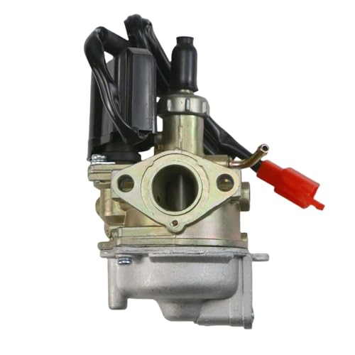 �p��AF18 AF27 AF28 AF34 AF35 SA50 SK50 ZX50 2�X�g���[�N�G���W�� �_�[�g�o�C�N ���[�V���O ATV 50cc 19mm DIO50 �I�[�g�o�C�L���u���^�[�p �o�C�N �L���u���^�[