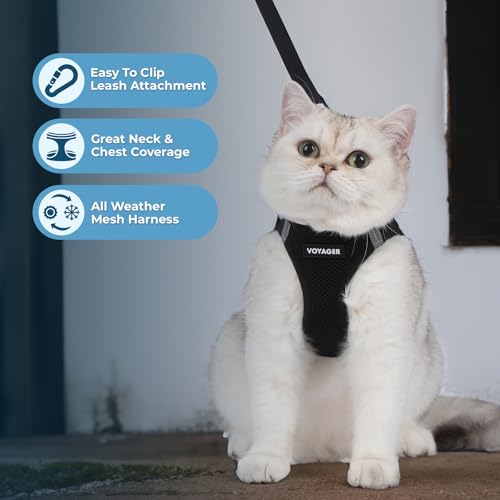 Image of Voyager Step-in Pet Harness - All Weather Mesh, Adjustable Step in Harness for Cats and Dogs by Best Pet Supplies - 307S Black, XS