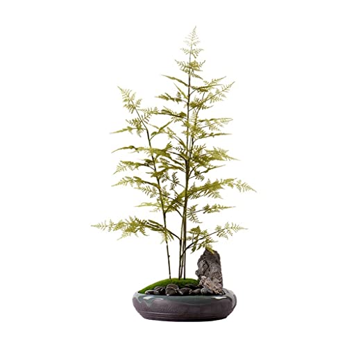 Plante intérieure en pot en céramique simulation bonsaï de salon - 2