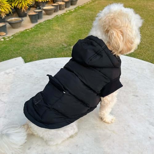 Image of Winter Dog Puffer Jacket, Hooded Pet Coat, Black (only for Small Breed)(6INCH)