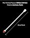 InoKraft Airless Sprayer Tip Extension 12 Inch (30cm) Airless Paint Sprayer Spray Gun Tip Extension Pole Rod, Extension Rod for Airless Painting Spray Gun, Universal Replacement Tool, Silver