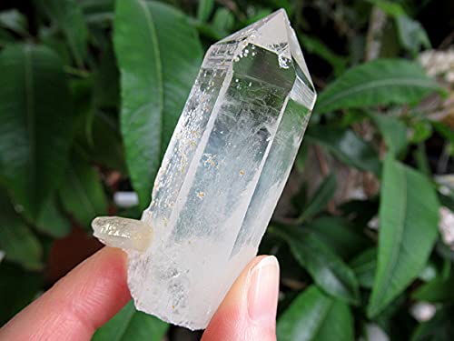 Amazon.co.jp: チタニウムインクォーツ（パスウェイクォーツ）原石