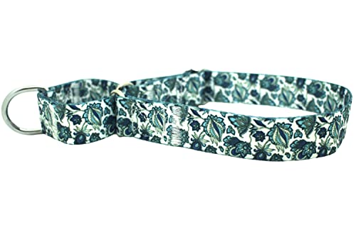 haoyueer Heavy Duty Nylon Adjustable Martingale Dog Collar for Walking Training Boy and Girl Dogs (XL:53-62CM, Blue)