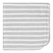 Gerber Baby 10-Pack Terry Washcloths, Bear Green, One Size